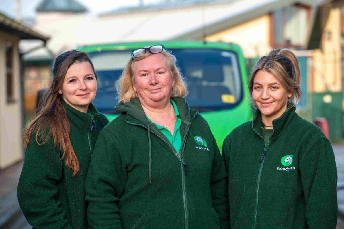 Three members of Woodgreen's community outreach team stand facing the camera in their Woodgreen uniforms