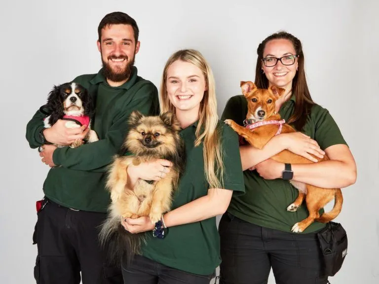Three Woodgreen staff members each holding a small dog