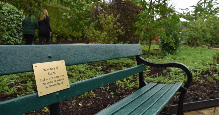 Memorial bench donated to our remembrance garden in Godmanchester, Cambridgeshire