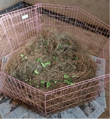 A pink metal animal playpen, perfect for a rabbit, encloses a pile of hay with scattered green leaves on top. The setup rests on a floor covered with old newspapers.