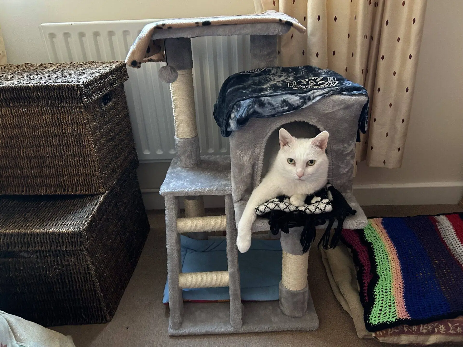 A white cat lounges comfortably inside the top level of a grey cat tree, surrounded by blankets. Wicker baskets and folded, colourful crochet blankets are nearby in a cosy room.