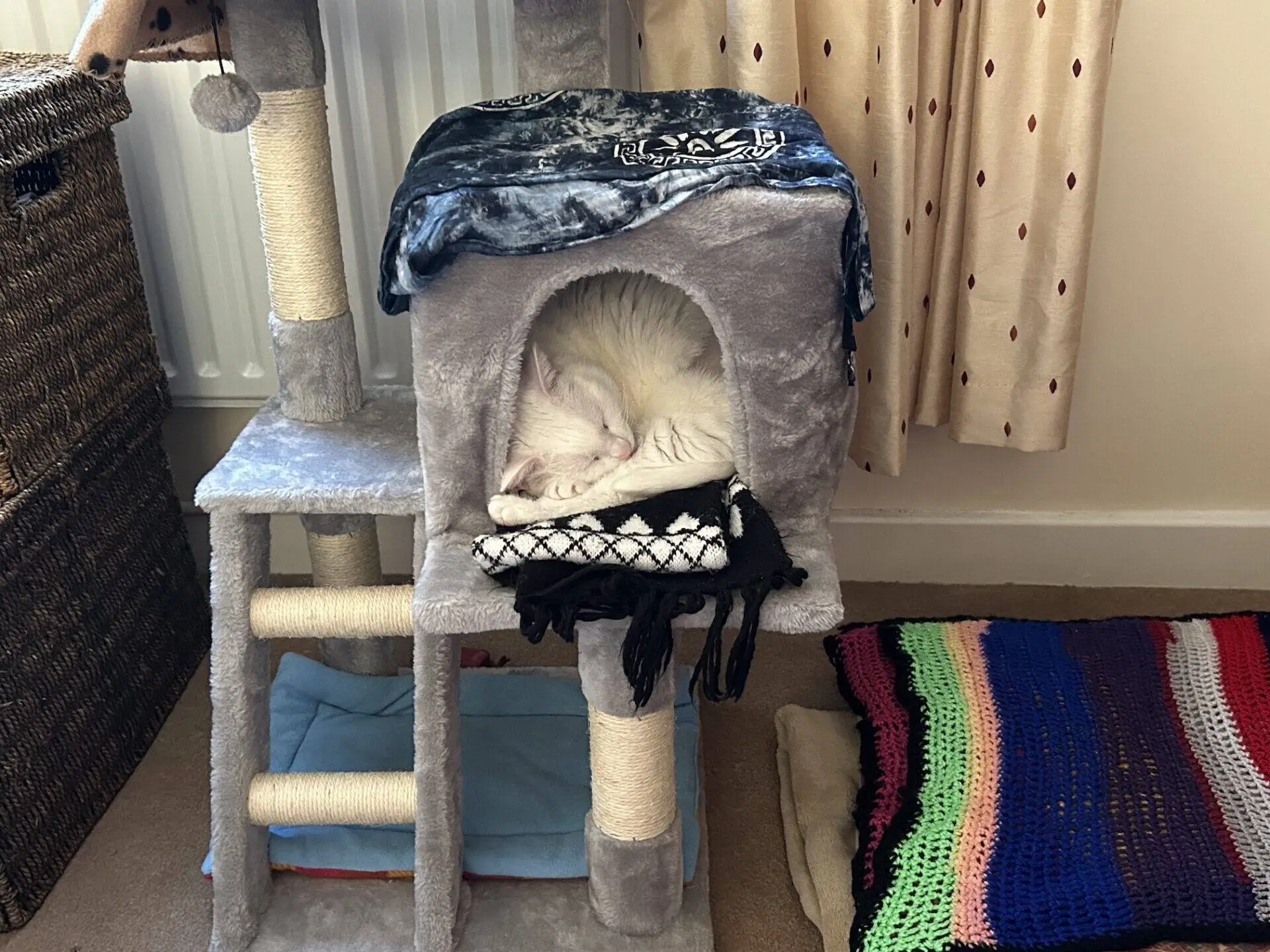 A white cat is curled up and sleeping inside a cosy grey cat tree cubby, with blankets draped over the entrance. A colourful blanket and a woven basket are nearby in a tidy room.