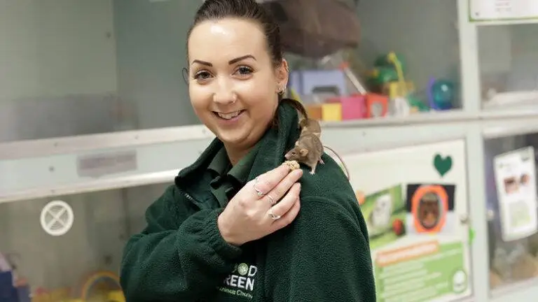 Staff member with a rat