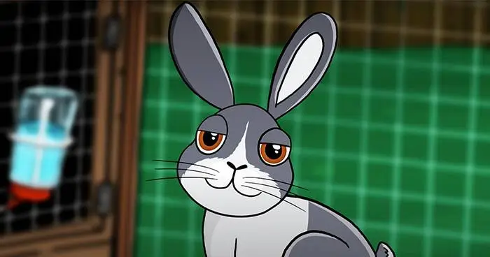 Rabbit animations promo