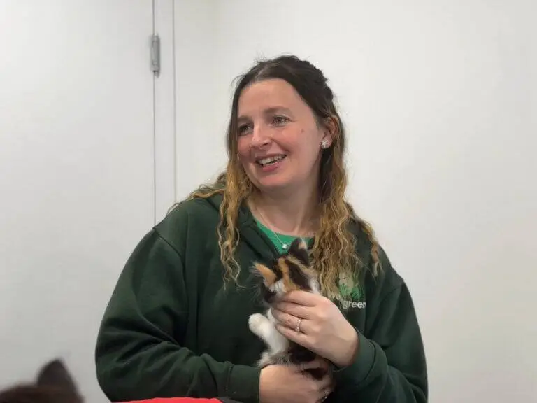 A woman with wavy, light brown hair wearing a green hoodie smiles while holding a small calico kitten against a plain white background.