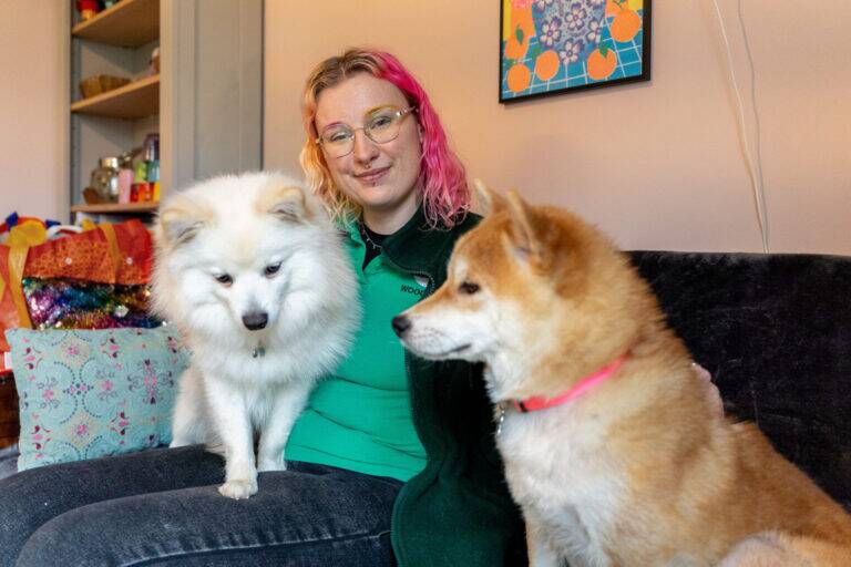A person with pink and blonde hair and glasses sits on a sofa with a fluffy white dog on their lap and a tan Shiba Inu beside them. Colourful decor and a framed artwork are visible in the background.