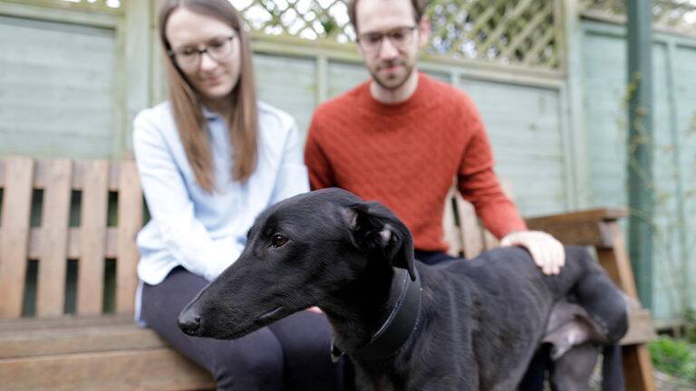 Man and women with a black dog