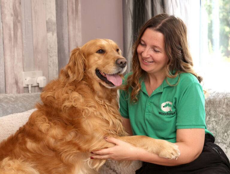 A woman in a green polo shirt smiles and holds the paw of a happy golden retriever sitting beside her on a sofa.