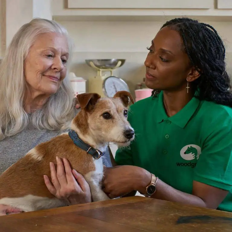 An elderly woman holds a small brown and white rescue pet while a carer in a green Woodgreen polo shirt sits beside them, gently touching the dog and looking at the woman with care.