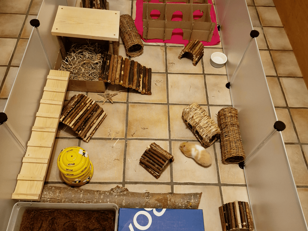 A hamster runs in a spacious enclosure with various tunnels, ramps, wooden bridges, a hideout with hay, a yellow toy, and a food dish on a tiled floor. The play area is bordered by clear panels.