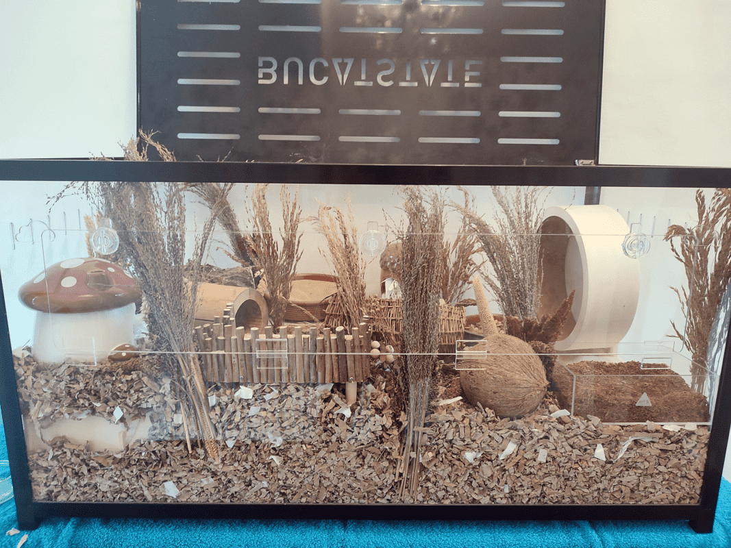 A small animal enclosure with shredded bedding, dried plants, a wooden bridge, a mushroom decoration, a coconut husk, a hideout, and various natural materials, against a black background labelled INVISIBLE.