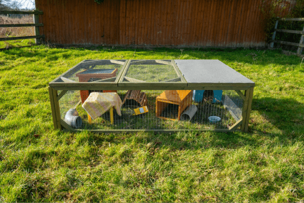A large outdoor animal enclosure on grass demonstrates how to house your guinea pigs, with small wooden houses, tunnels, and toys scattered throughout, all safely surrounded by wire mesh and a shaded roof section.