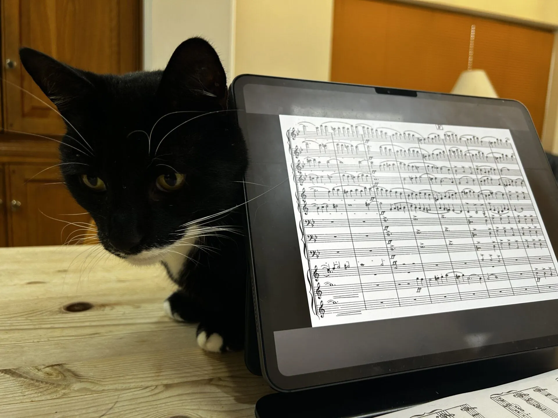 A domestic short hair cat sits next to a tablet displaying sheet music on a wooden table, with a lamp and wooden cabinets in the background.
