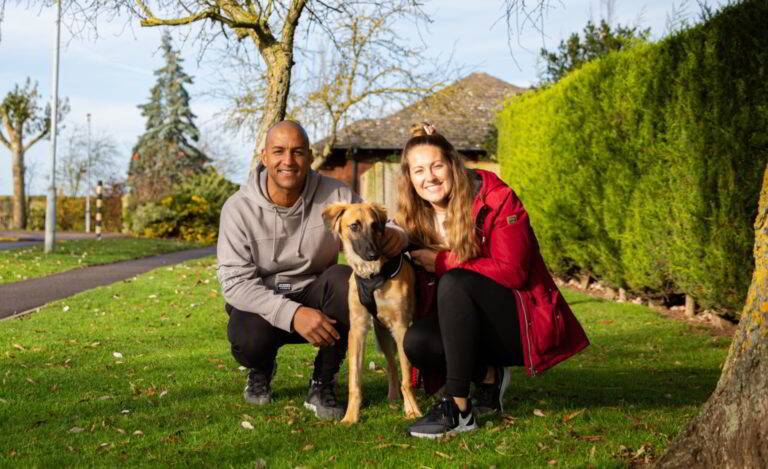 The Dog House family with Saluki dog