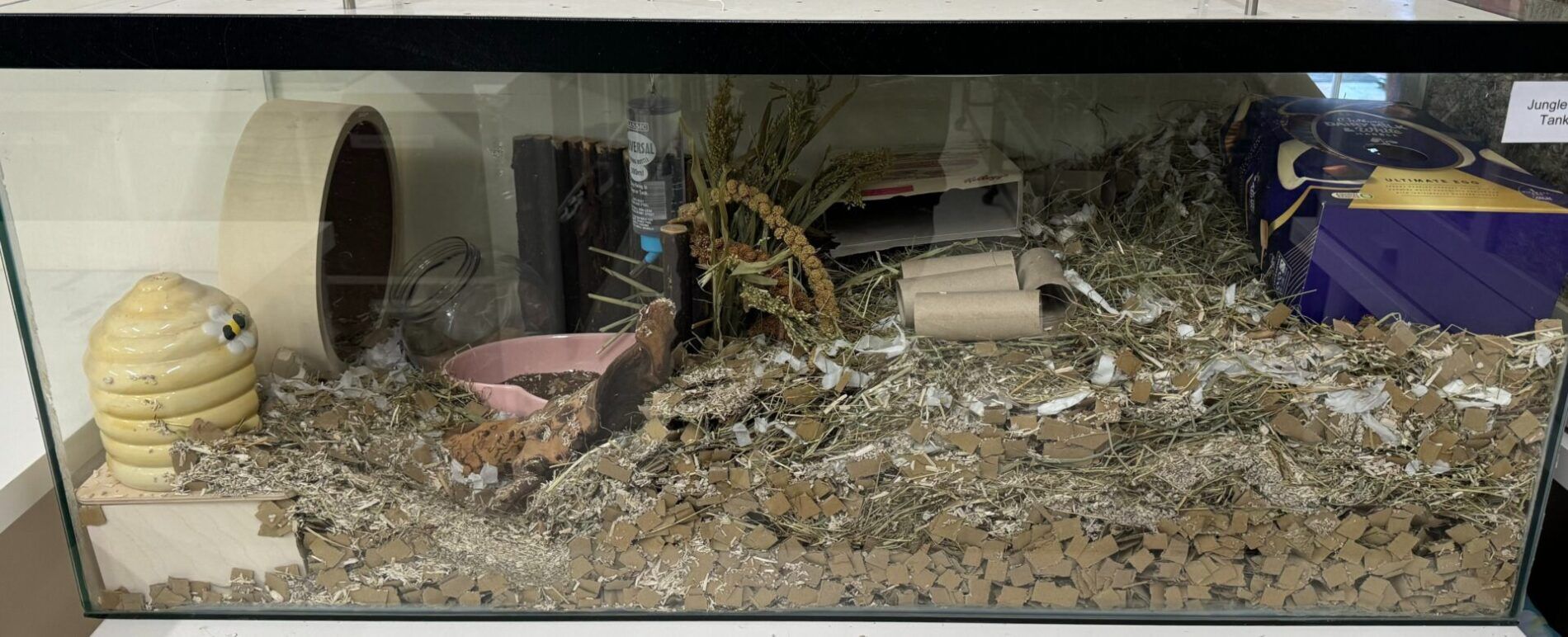 A gerbil glass tank filled with shredded bedding, cardboard pieces, hay, a pink food dish, a yellow beehive-shaped hideout, a wooden tunnel, a cardboard hideout, and some chewed cardboard tubes.