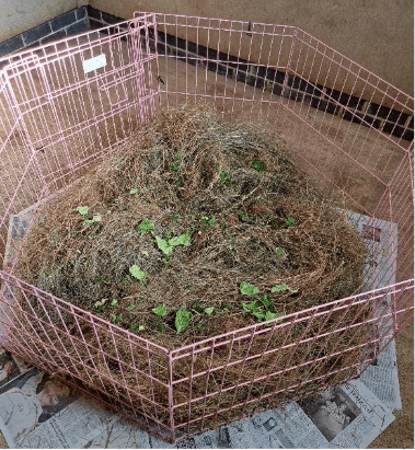 A pink metal animal playpen, perfect for a rabbit, encloses a pile of hay with scattered green leaves on top. The setup rests on a floor covered with old newspapers.