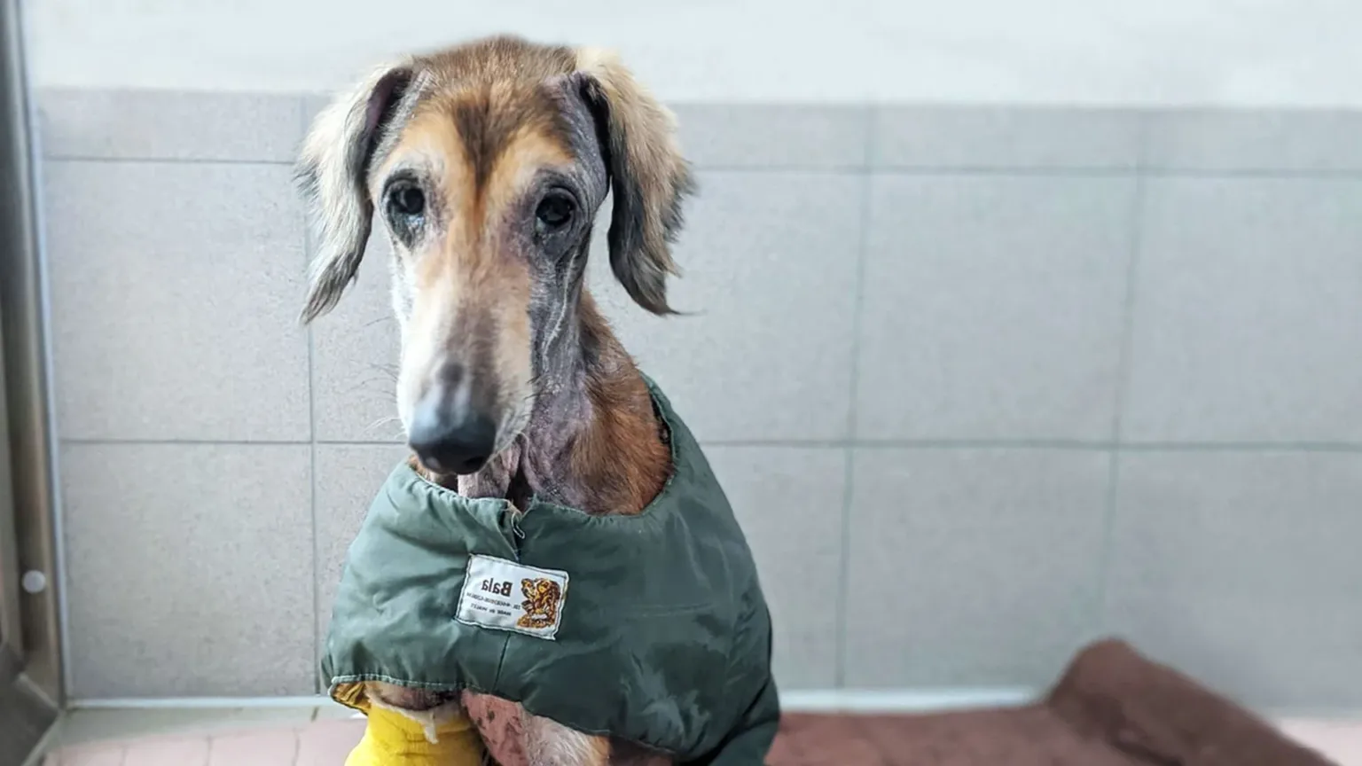 Harry - Broken Lives - Mend TV Appeal