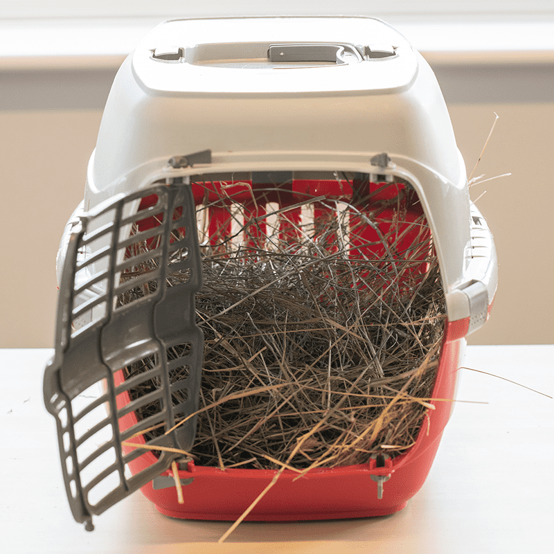 A red and white pet carrier with its door open sits on a table, filled with hay.