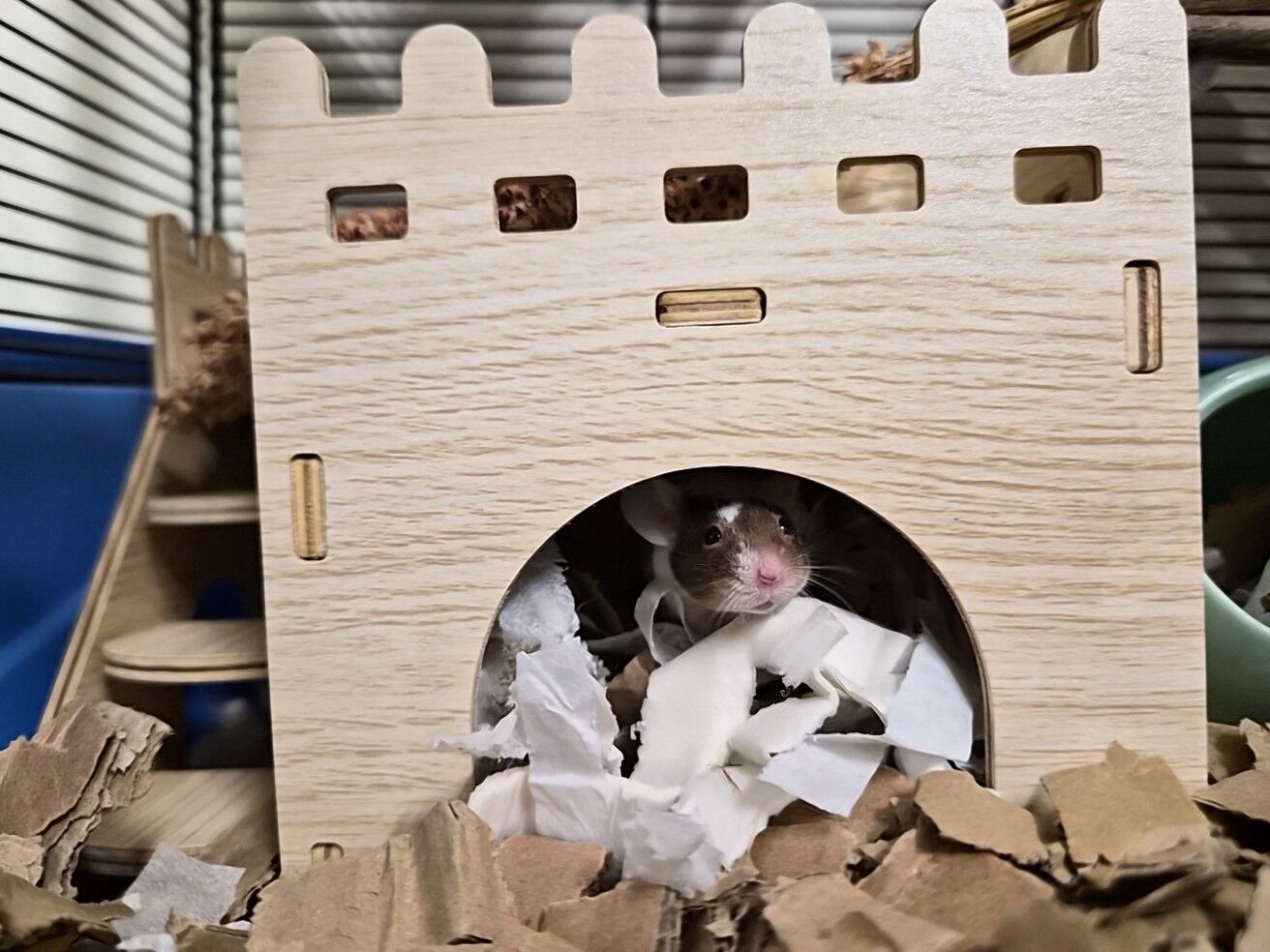 A small brown and white mouse peeks out from a wooden castle-shaped hideout, surrounded by shredded paper bedding and cardboard pieces inside its cage.
