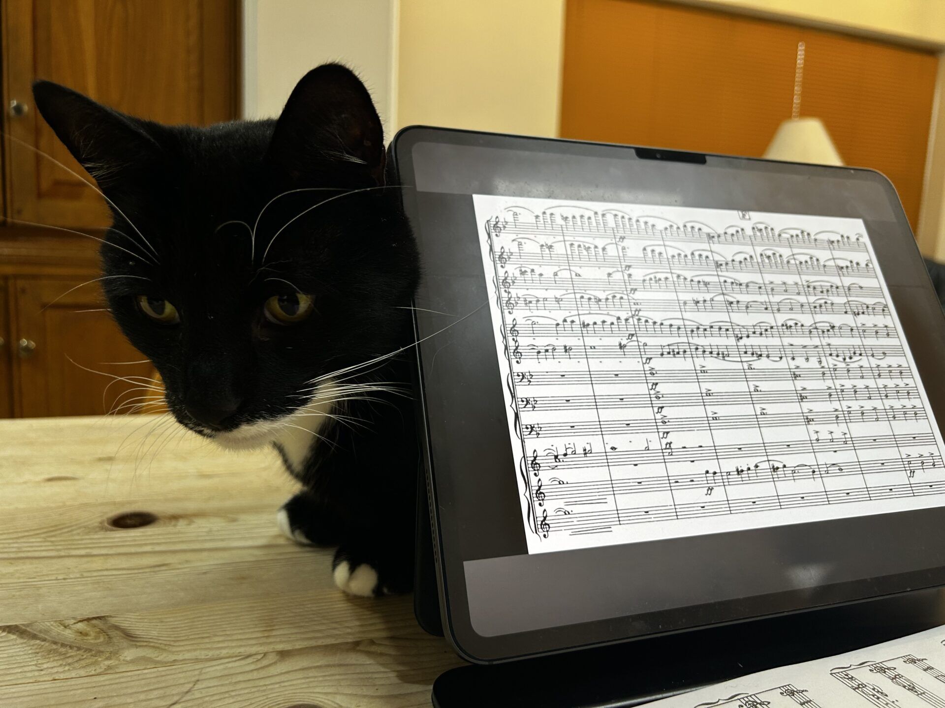 A domestic short hair cat sits next to a tablet displaying sheet music on a wooden table, with a lamp and wooden cabinets in the background.