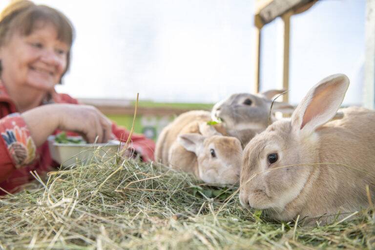 Woman with rabbits