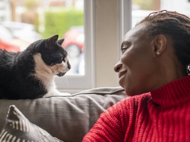 A woman sits on a sofa looking at a black and white cat sat on the back of the sofa