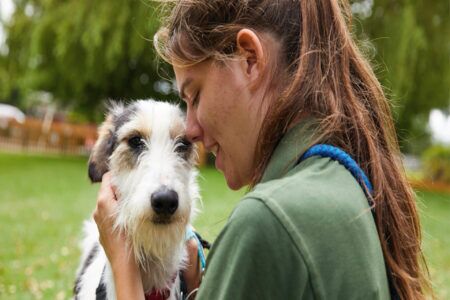 Dog being cuddled by staff member