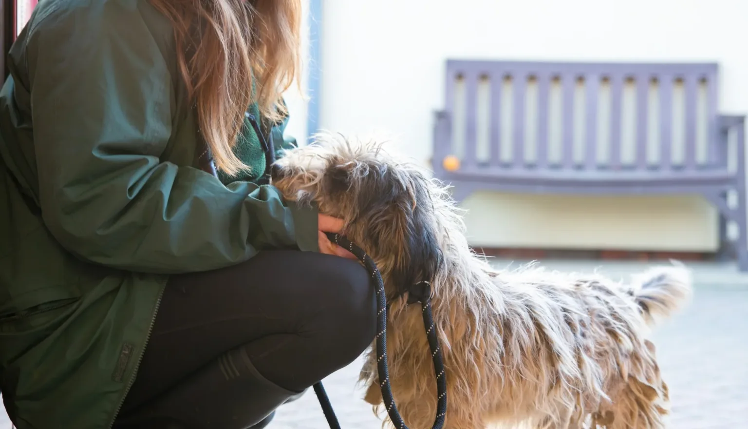 A person in a green jacket kneels and gently holds the face of a shaggy, leashed dog, sharing a tender moment outdoors near a bench—reminding us how important it is to help us be fully prepared for the pets that need us.