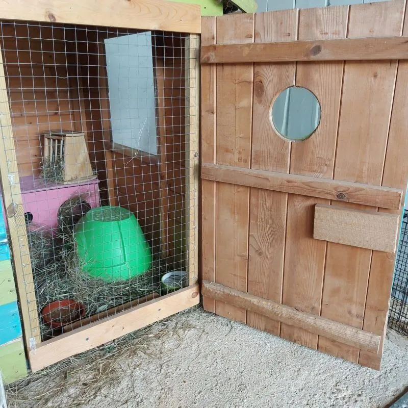 Wendy house door on a shed for guinea pigs
