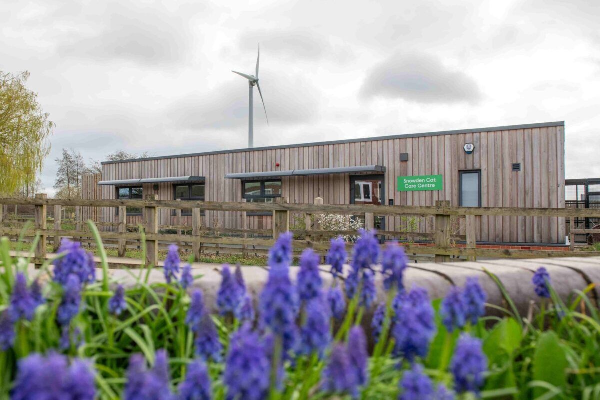An external image of Woodgreen's Snowden Cat Care entre