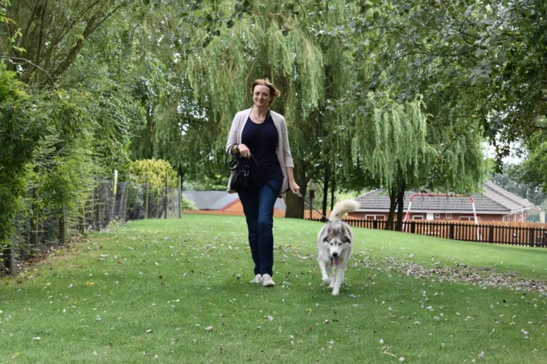 Step up for Pets