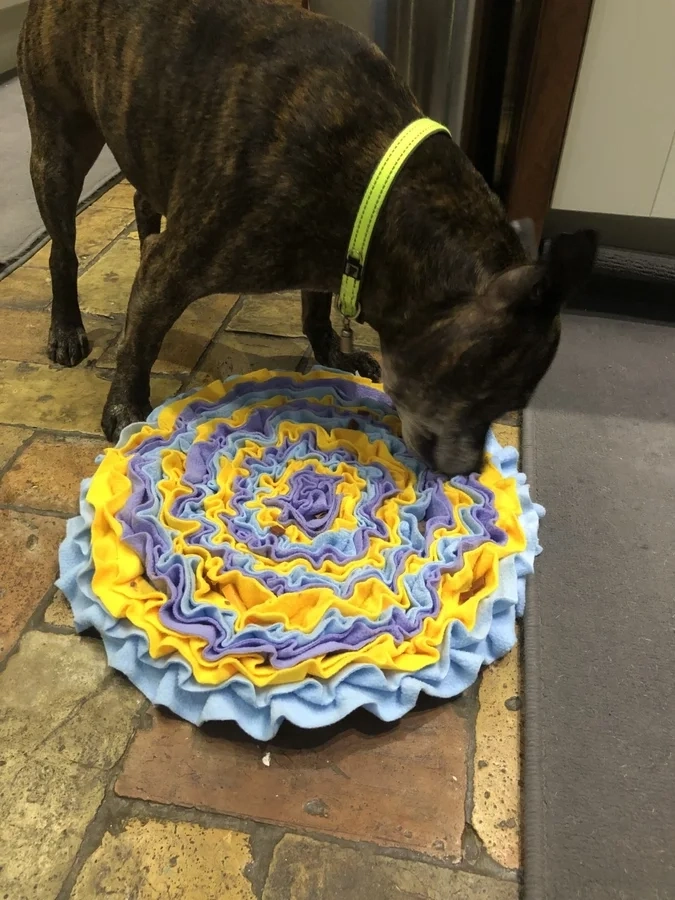 Dog with snuffle mat - Woodgreen