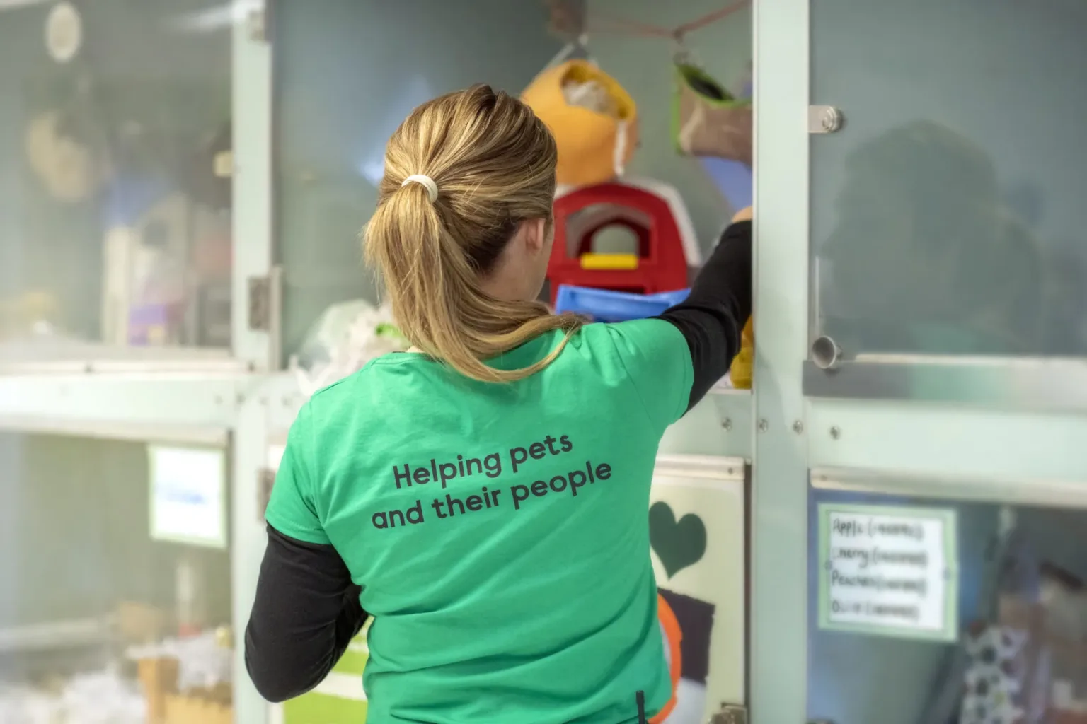 Woodgreen team member tidying pet accommodation