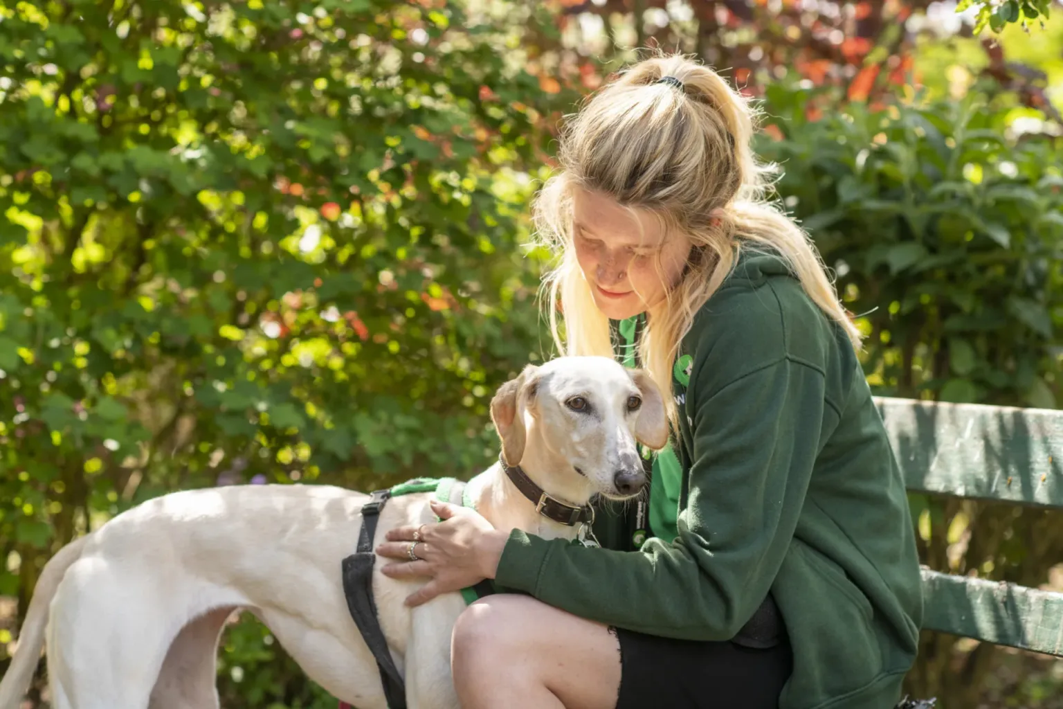 Woodgreen staff with lurcher dog