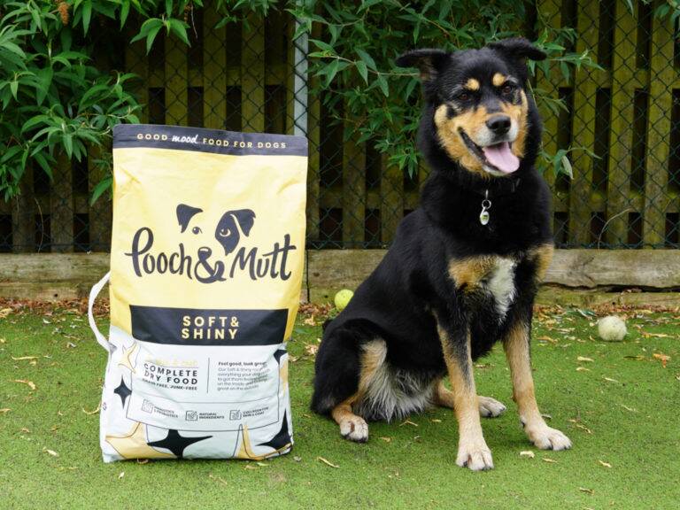 Pooch & Mutt help Bethany shine brighter