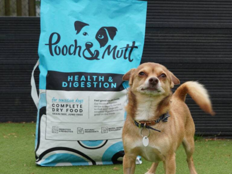 How Corporate Partnerships help dogs like Gonzales