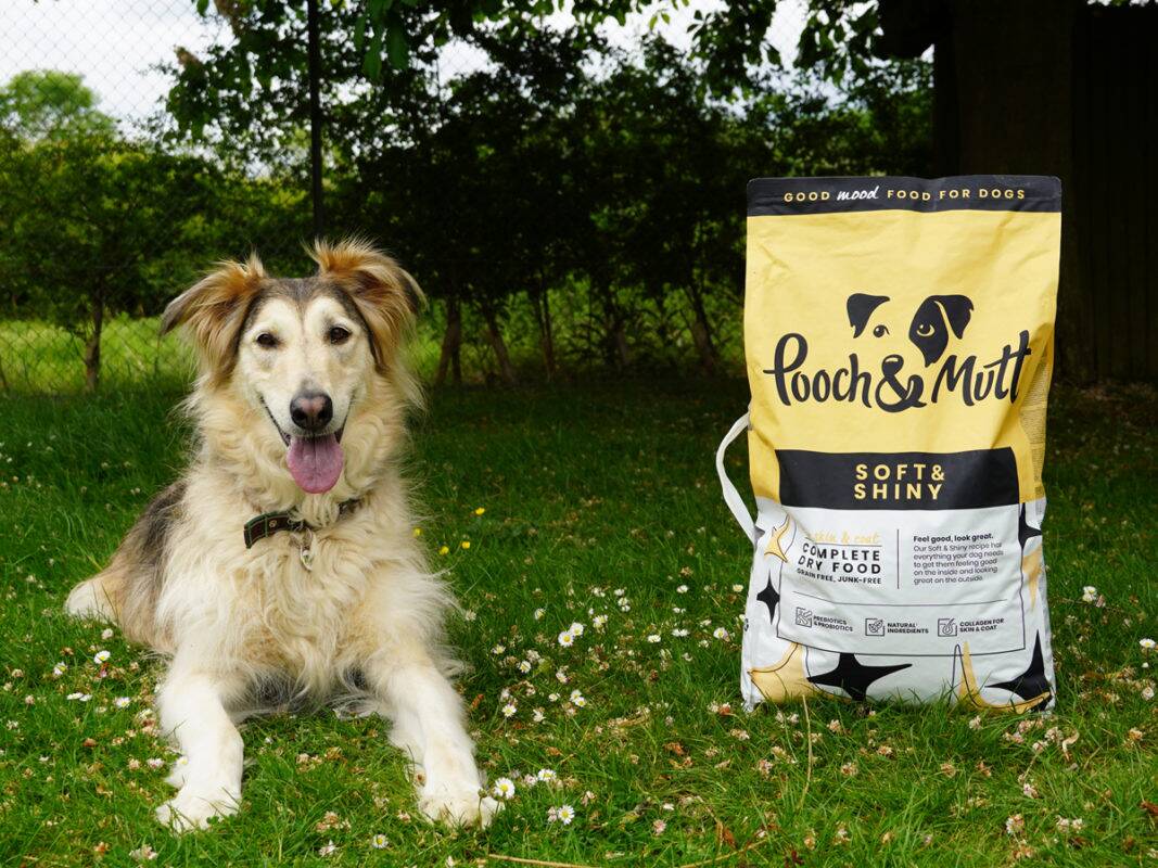 Mally benefits from Woodgreen's partnership with Pooch & Mutt
