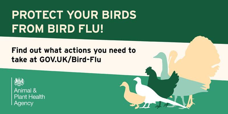 Bird flu - Defra