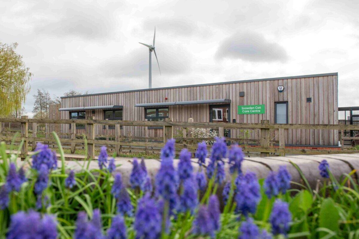 An external image of Woodgreen's Snowden Cat Care entre