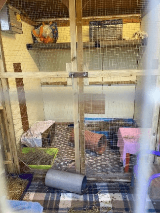 A wooden and wire rabbit enclosure with various items inside, including a pink-covered table, a tunnel, hay, and plastic containers. The floor is tiled with straw scattered throughout.