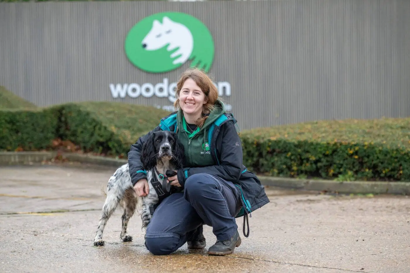 Woodgreen Pets Charity: An Independent Guide to Adopting, Rehoming and Support Woodgreen Pets Charity: An Independent Guide to Adopting, Rehoming and Support