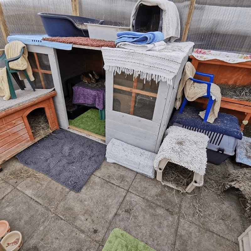 A cosy outdoor enclosure with small animal huts, cages, blankets, and mats, arranged for pets like rabbits or guinea pigs. Bowls and hay are scattered around the set-up, providing comfort and shelter.