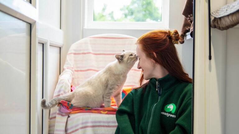 A woman with red hair smiles as a light-coloured cat gently touches her forehead with its nose. She wears a green jacket and sits beside the cat on a colourful chair under a window.
