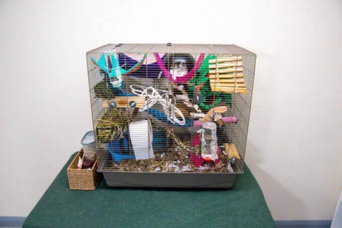 A multi-level small animal cage with ramps, tubes, water bottles, and various toys sits on a green surface against a plain white wall. A small basket with items is placed next to the cage.
