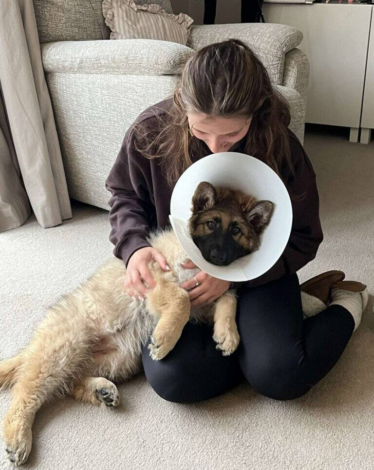 A person sits on the floor comforting a wary German shepherd puppy wearing a plastic recovery collar as part of the Pets Matter initiative.