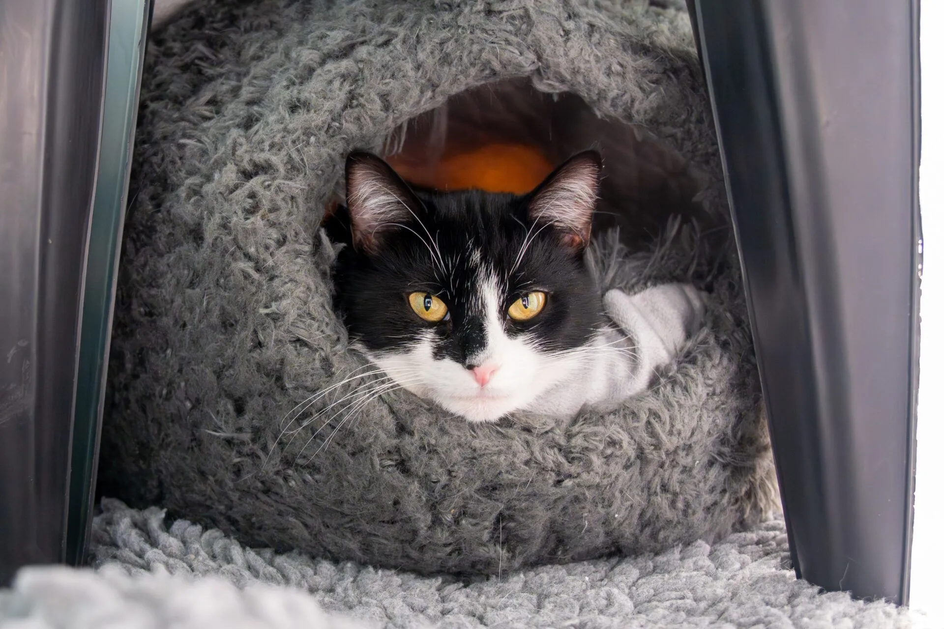 A black and white cat with yellow eyes lies inside a cozy, gray, dome-shaped cat bed, peeking out while resting on a soft, textured surface.