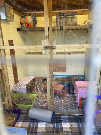 A wooden and wire rabbit enclosure with various items inside, including a pink-covered table, a tunnel, hay, and plastic containers. The floor is tiled with straw scattered throughout.