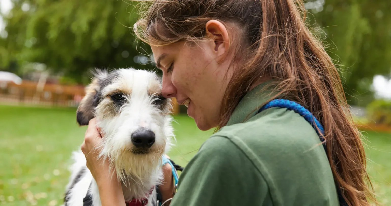 Dog being cuddled by staff member