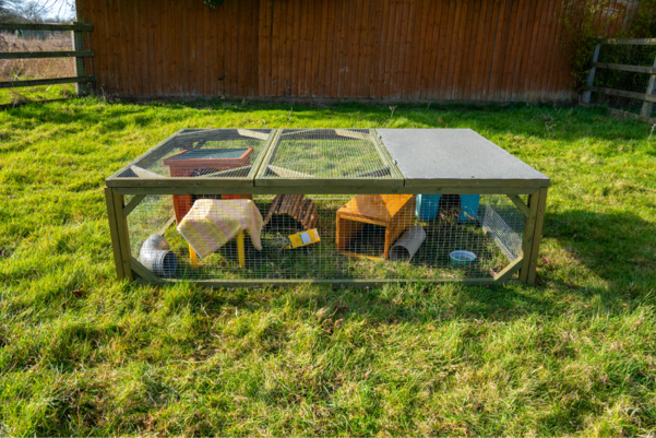 A large outdoor animal enclosure on grass demonstrates how to house your guinea pigs, with small wooden houses, tunnels, and toys scattered throughout, all safely surrounded by wire mesh and a shaded roof section.