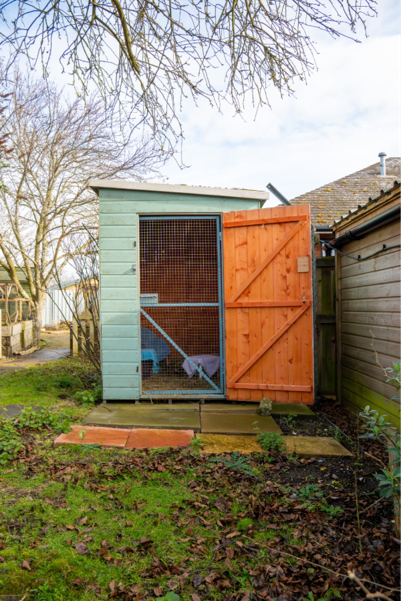 A small wooden animal enclosure with a wire mesh door and an open red gate stands in a back garden with grass, leaves, and trees—an ideal example of how to house your guinea pigs. A blue shelter and some animals are visible inside, providing both safety and comfort for your pets.